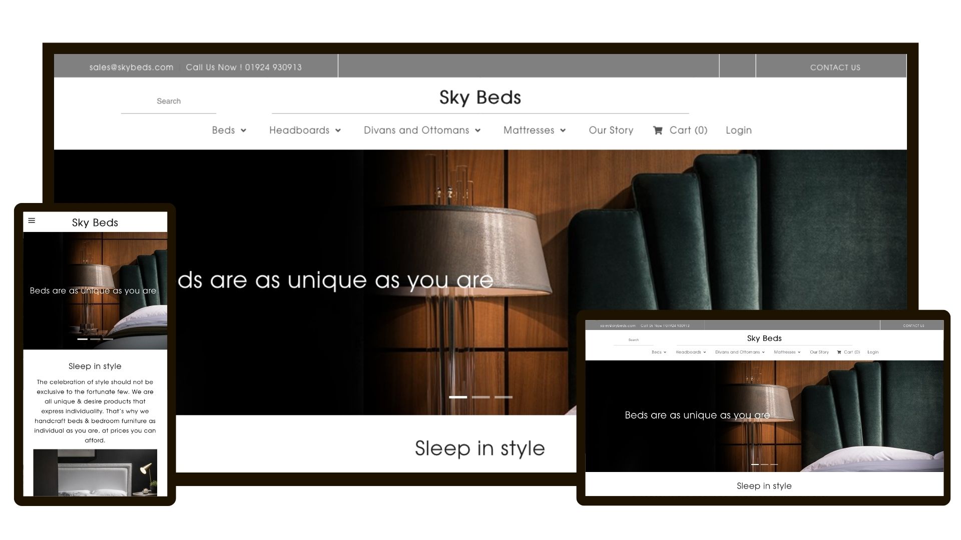 INFOTS website development showcase 2